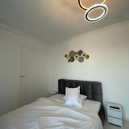 Luxury Solid Butoaie *