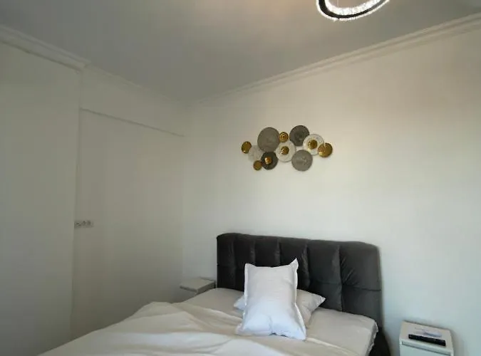 Luxury Solid Butoaie *